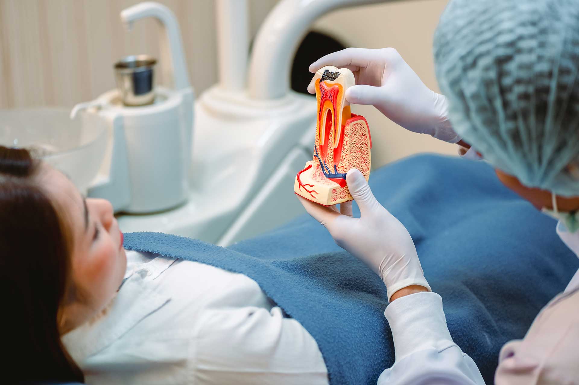 Dentist showing a patient a model of the root canals inside a tooth